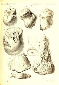 n574_w1150
