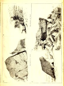 n478_w1150