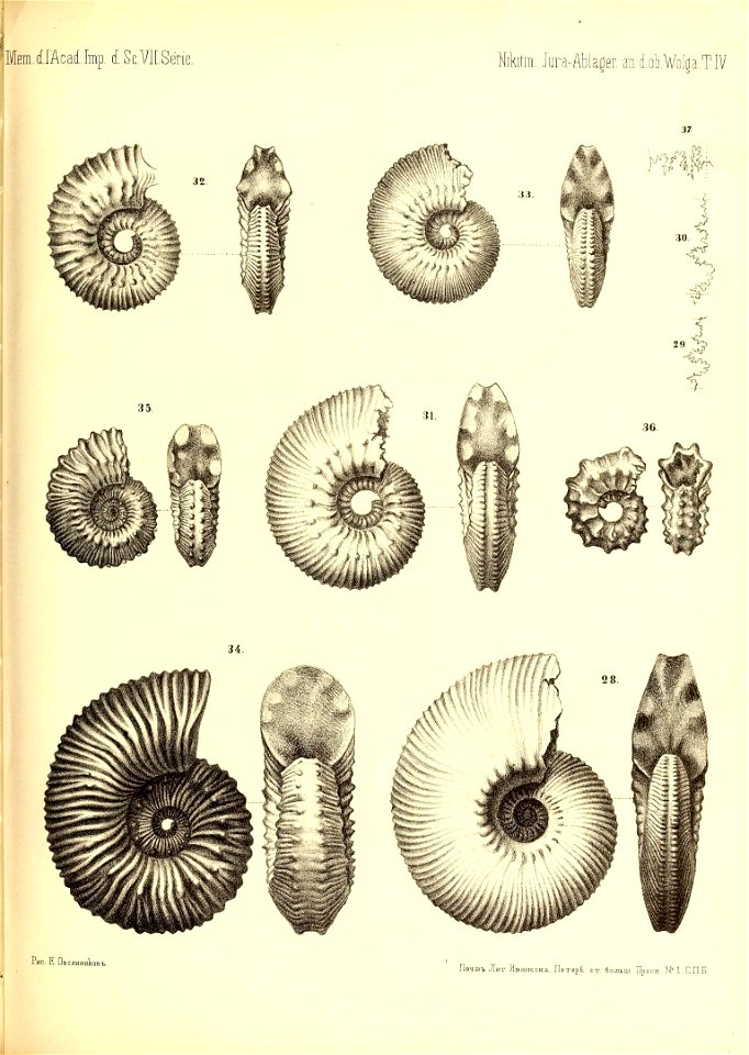 n506_w1150
