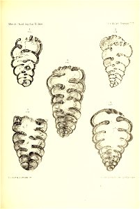 n456_w1150