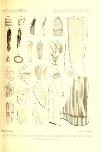 n282_w1150