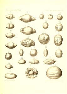 n896_w1150