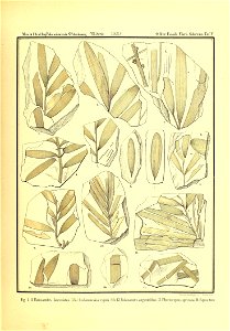 n266_w1150