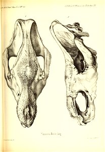 n536_w1150