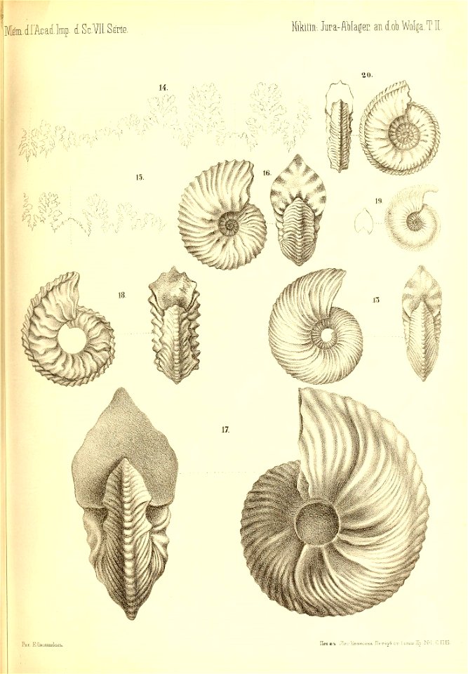 n502_w1150