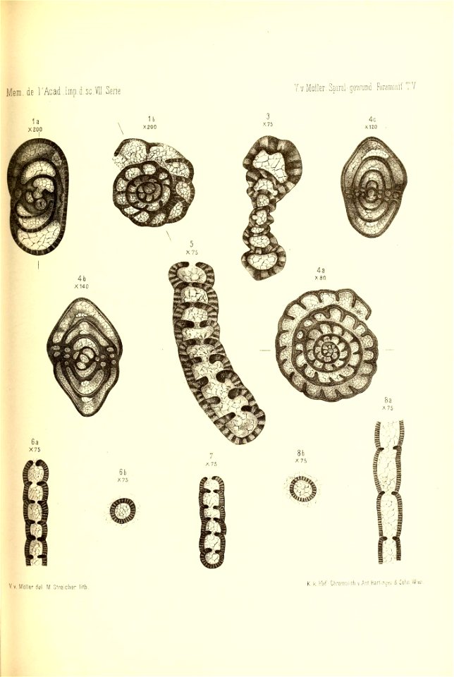 n454_w1150