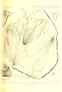 n280_w1150