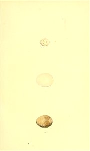 n58_w1150