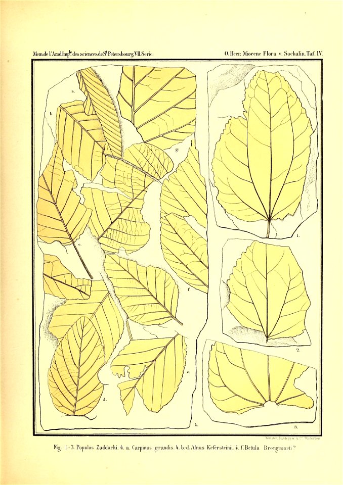 n362_w1150