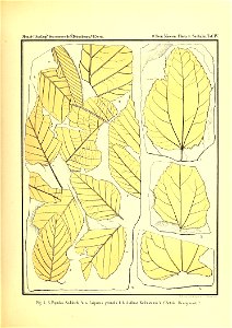 n362_w1150