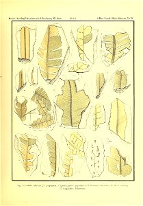 n264_w1150