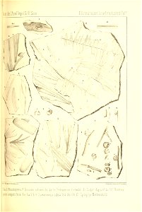 n278_w1150
