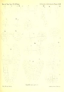 n682_w1150
