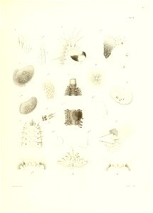 n706_w1150