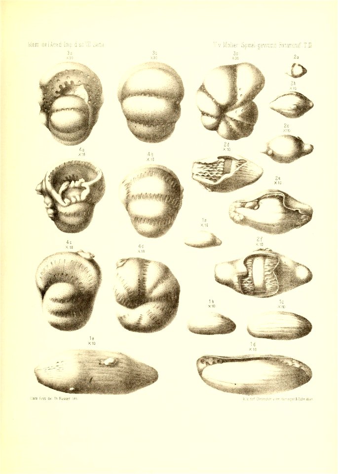 n892_w1150