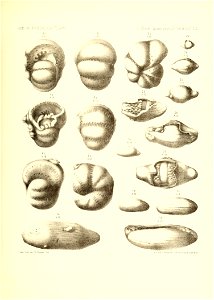 n892_w1150