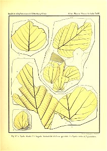 n360_w1150