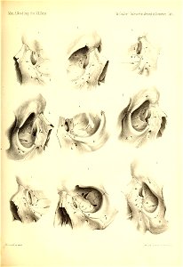 n388_w1150