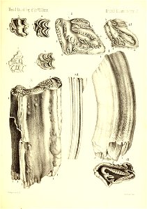 n488_w1150