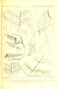 n274_w1150