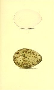 n300_w1150