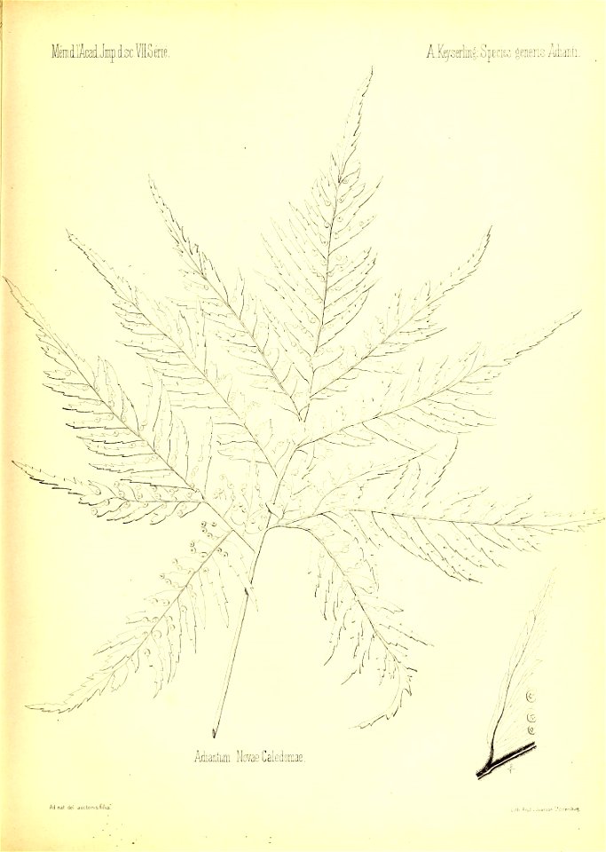 n228_w1150