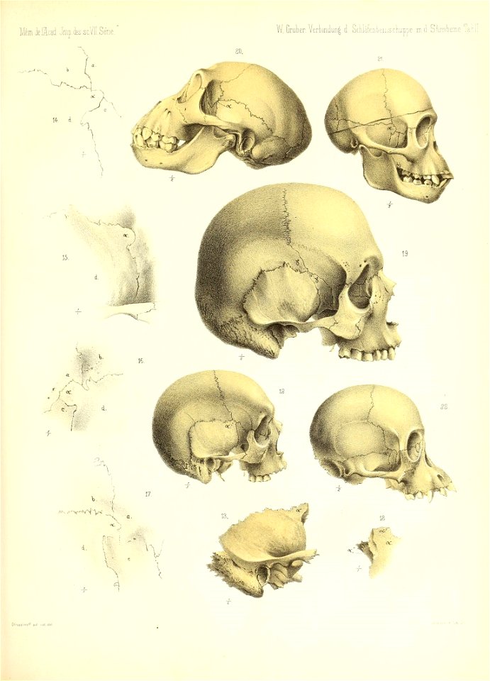n572_w1150