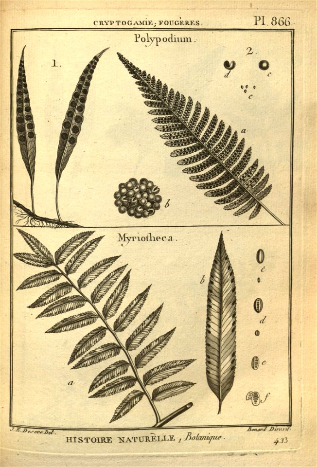 n118_w1150