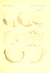 n1030_w1150