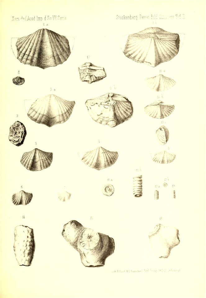 n36_w1150