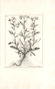 n596_w1150