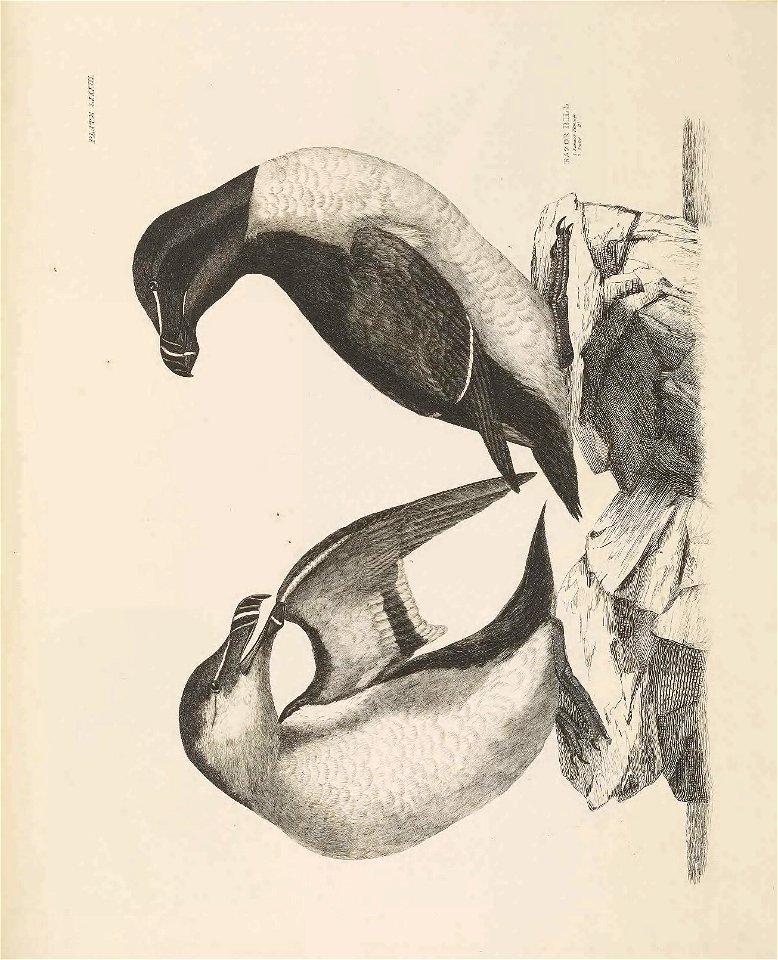 n146_w1150