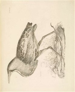 n112_w1150