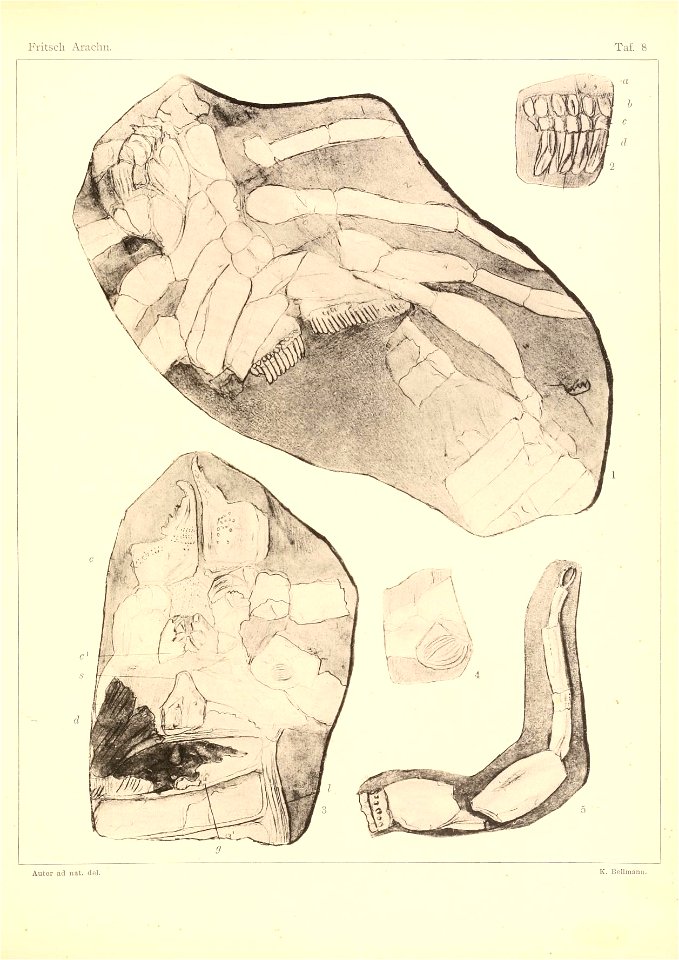 n120_w1150
