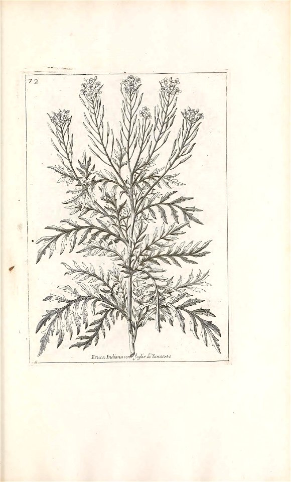 n438_w1150
