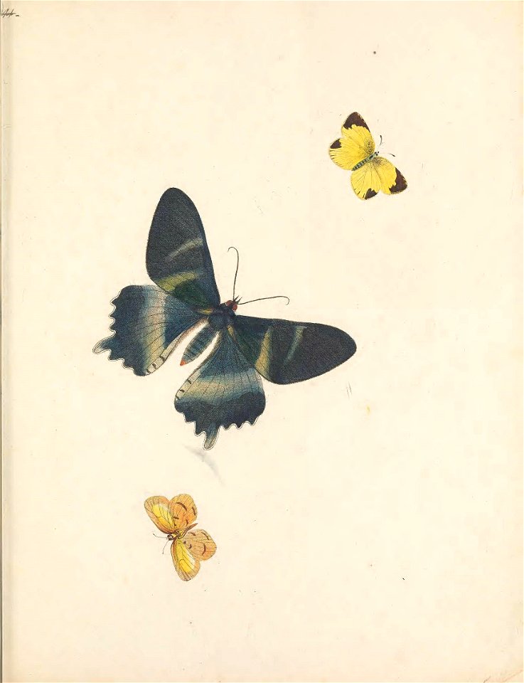 n16_w1150