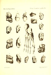 n904_w1150