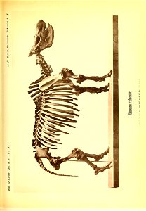 n544_w1150