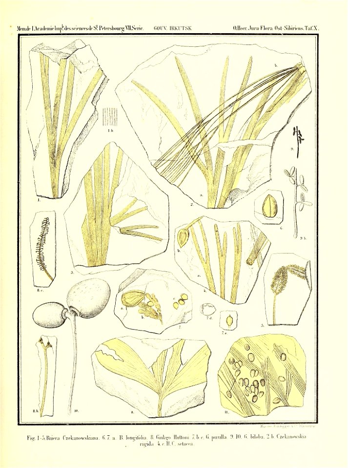n892_w1150