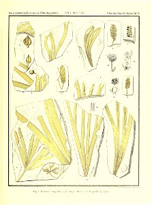 n890_w1150