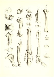 n868_w1150