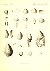 n186_w1150