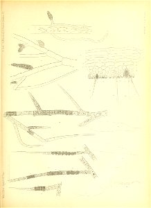 n742_w1150