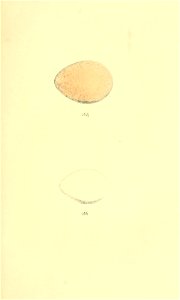 n168_w1150