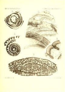 n898_w1150
