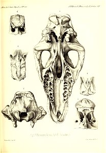 n538_w1150