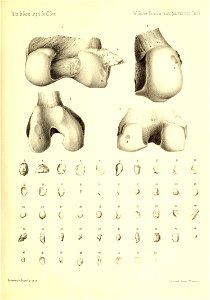 n342_w1150