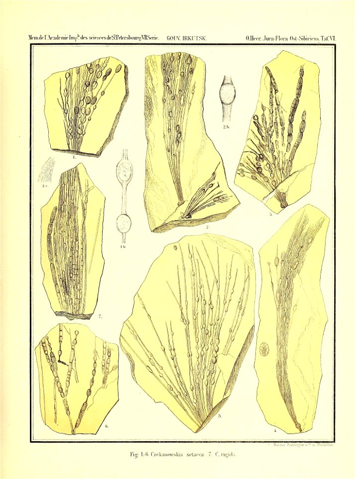 n884_w1150