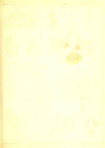 n698_w1150