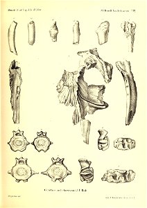 n404_w1150